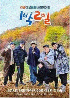 影视网 排行 明星大侦探